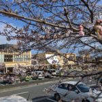 【３月２６日】天神岬スポーツ公園オートキャンプ①